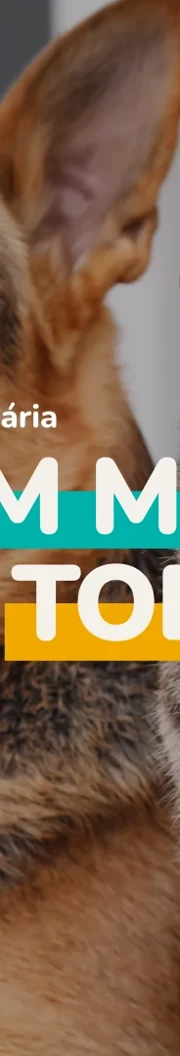 When you pamper one, you pamper all